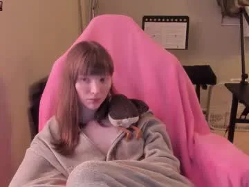 VIKITOMMY – webcam model profile photo Image 4