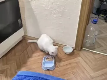 savagesweethearts – webcam model profile photo Image 16