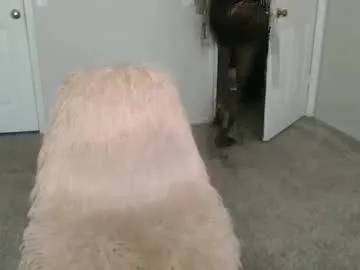 Latinaebony69 – webcam model profile photo Image 17