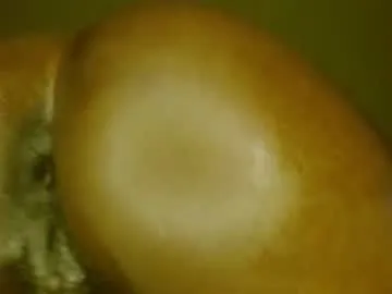 tastycupcake69 – webcam model profile photo Image 3