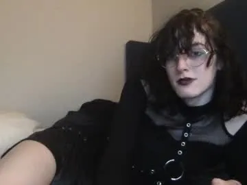 Prueberry – webcam model profile photo Image 12