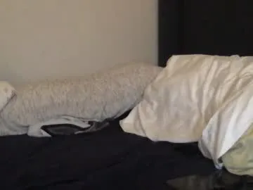 Prueberry – webcam model profile photo Image 13