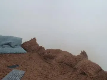 -AngelAri- – webcam model profile photo Image 13