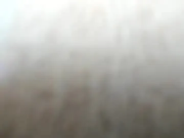 bambi_lu – webcam model profile photo Image 17