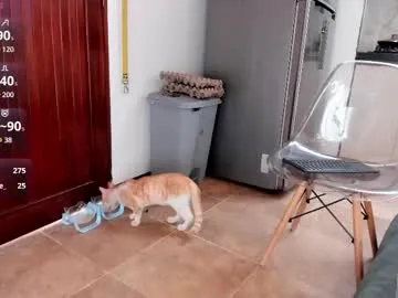 hildredmeiste – webcam model profile photo Image 8