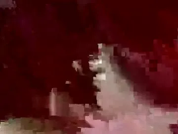 hina_porn – webcam model profile photo Image 7