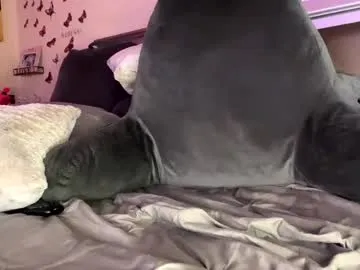 throattaker4l_ – webcam model profile photo