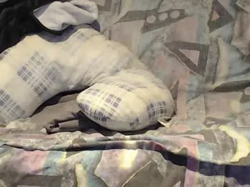 -cutiekitty- – webcam model profile photo Image 14