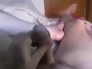 dlllvi – webcam model profile photo Image 6