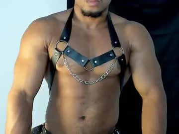 Anita-vega – webcam model profile photo Image 8