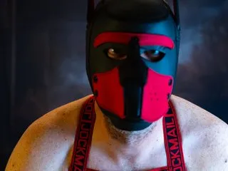 xMasked_Daddiex – webcam model profile photo