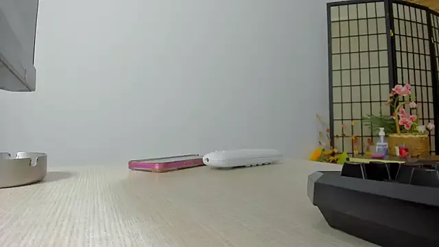 JP_Erotic_LIVE-Camera_ – webcam model profile photo Image 11