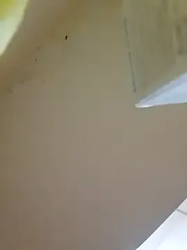 valeryyx – webcam model profile photo Image 7