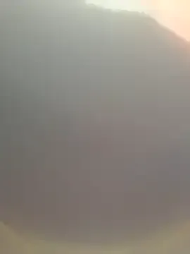 EvieEvans – webcam model profile photo Image 6