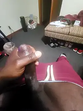 Cameltoekilla – webcam model profile photo