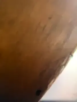 Linnea – webcam model profile photo Image 7