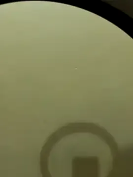 -Molly- – webcam model profile photo Image 5