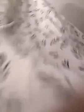 hina_porn – webcam model profile photo Image 16