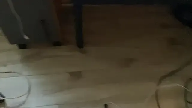 TOP_ping – webcam model profile photo Image 10