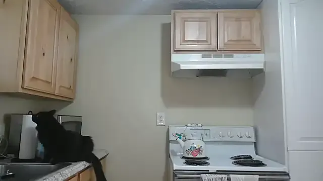 honey__pie – webcam model profile photo Image 3