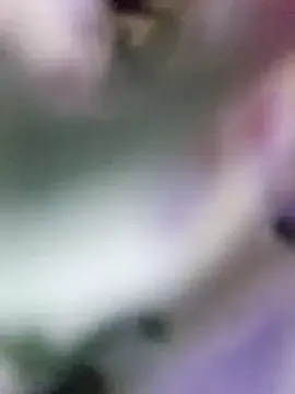 gerridae – webcam model profile photo Image 9