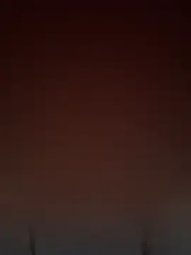 Kisa-Gav – webcam model profile photo Image 2