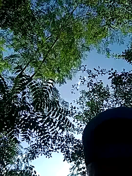 barbiehumpxxx – webcam model profile photo Image 3