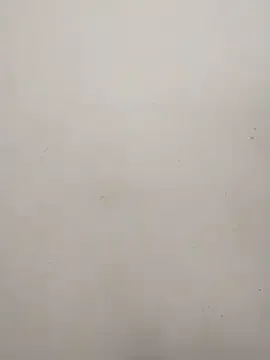 bambi_lu – webcam model profile photo Image 10