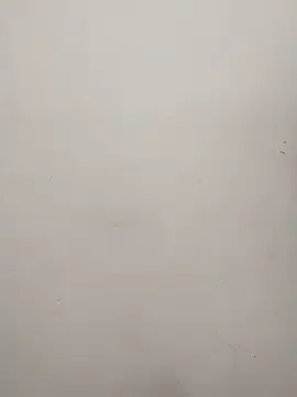 bambi_lu – webcam model profile photo Image 3