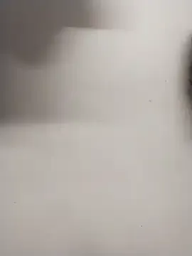 bambi_lu – webcam model profile photo Image 7