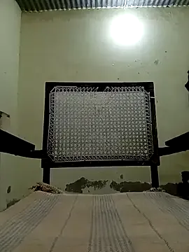 bambi_lu – webcam model profile photo Image 3