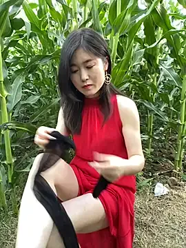 sunny-520 – webcam model profile photo