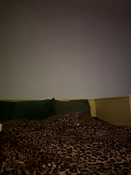 barbiehumpxxx – webcam model profile photo Image 13