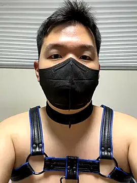 dolly-ll – webcam model profile photo Image 8